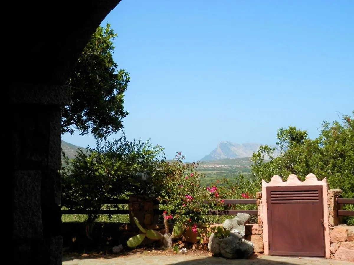 Appartamento Casa Li Scopi - Mountain View San Teodoro  San Teodoro (Sardinia)